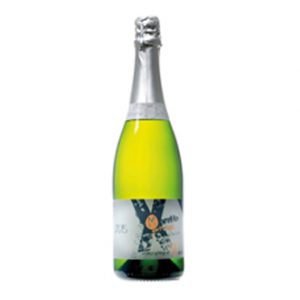 <span class="notranslate">M de Marià Xarelo Gran Reserva. Brut Nature</span>
