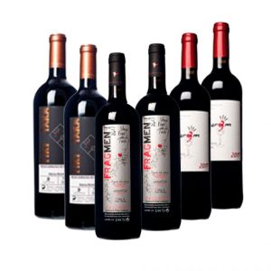 Lote 6 Botellas Vino Tinto